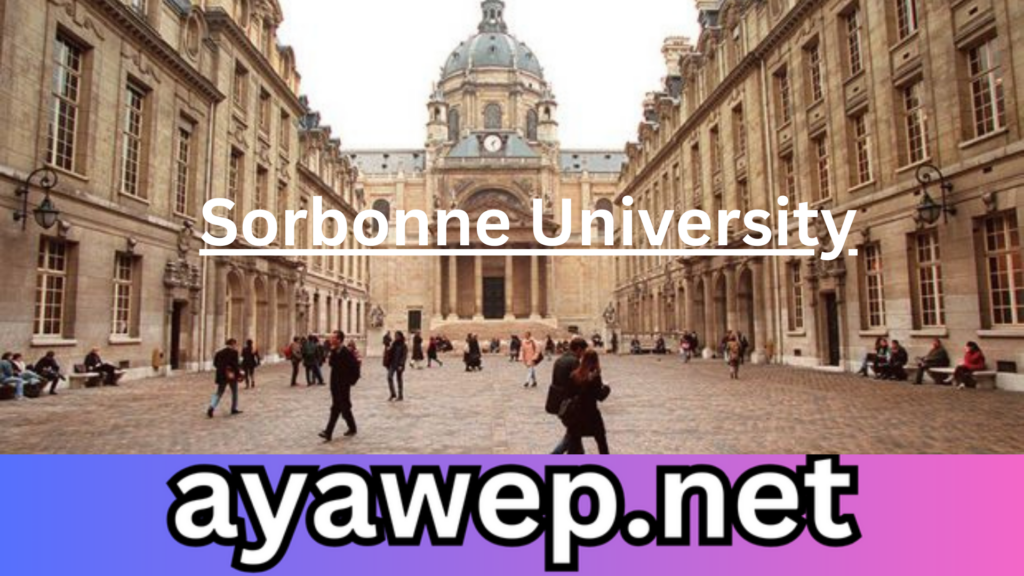 Sorbonne University in 2024